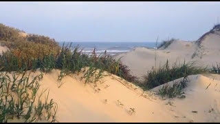 Visit City of Rio Grande Valley Texas The Magic Valley CityOf