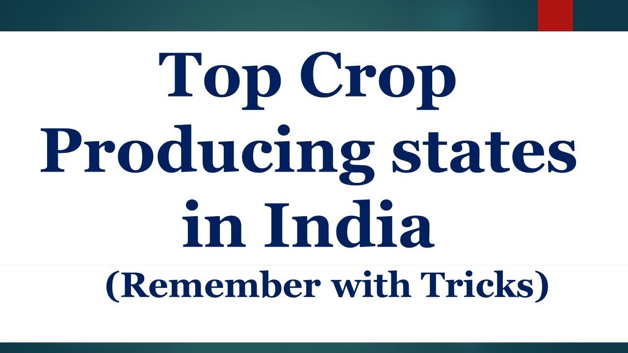 Top Crop Producing States in India with Tricks Crop Producing States
