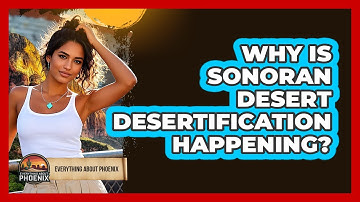 Why Is Sonoran Desert Desertification Happening? - Everything About Phoenix