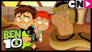 Мультфильм Ben 10 Snake Song King Koil Cartoon Network