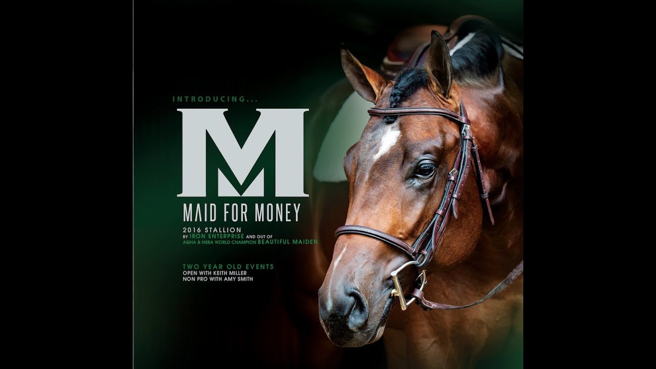 Acres Of Time Silverstone Ranch Quarter Horse Stallion Horses Quarter Horse