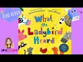 What the Ladybird Heard Quiz