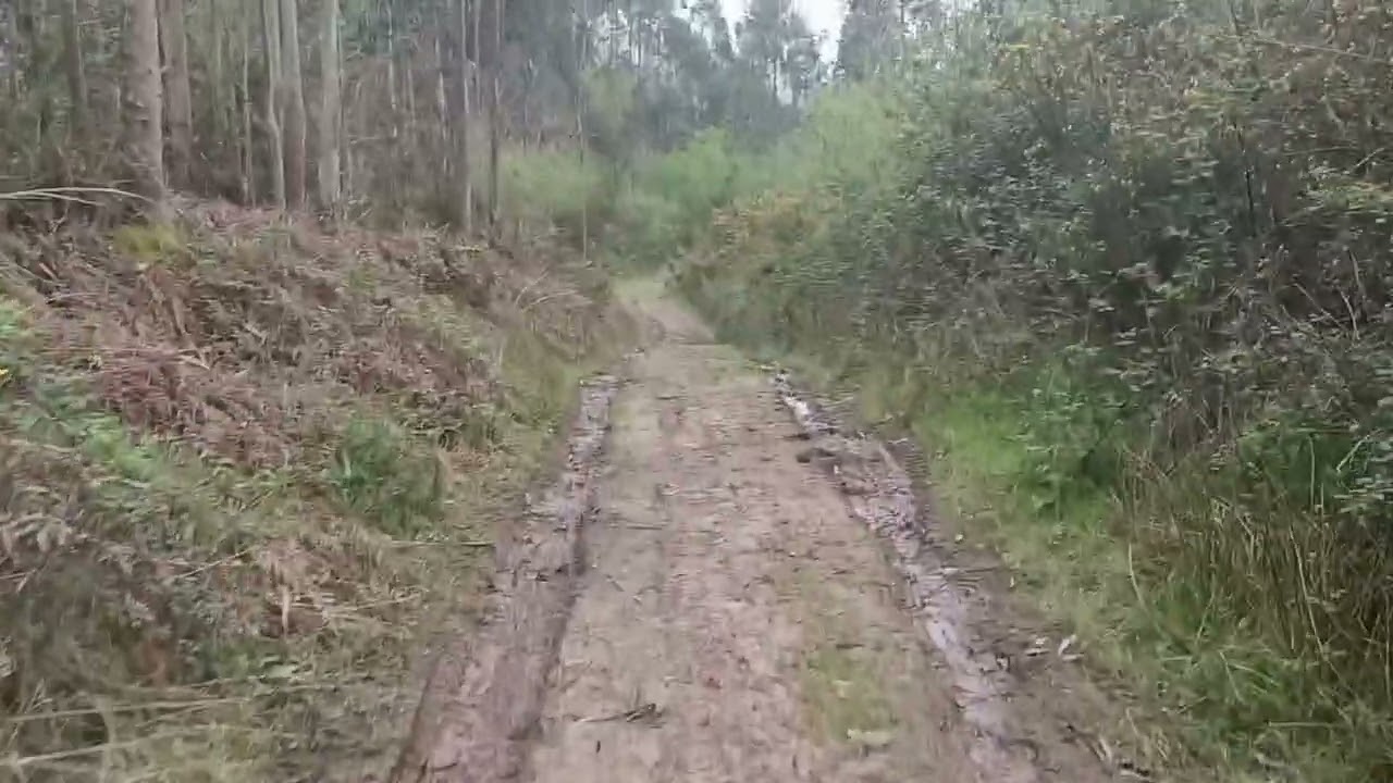 5 de Abril 2026 - Cantabria 🇪🇸 Caminos en el campo.