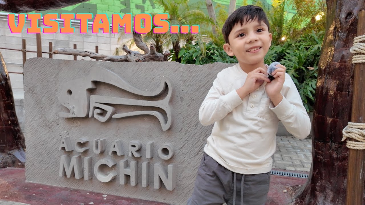 Visitando el acuario Michin en la ciudad de México. - YouTube
