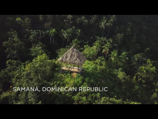 Ziplining through Samaná | Go Dominican Republic