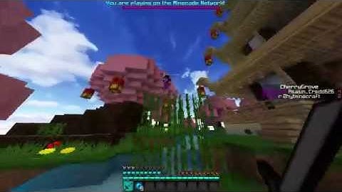 Minecraft SCB Hacker Report #6 - Asasin_Credd626