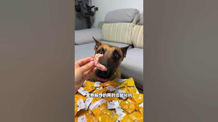 方便还实惠，在也不用这么麻烦给狗狗煮肉吃了家有馋狗 毛孩子 狗狗零食