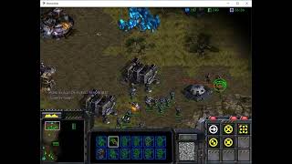 StarCraft Gameplay 23 05 2024