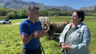 Entrevista a Fernando Romano Noriega, ganadero de Parres (Llanes) / El Campo de Asturias
