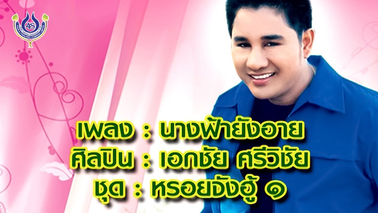 นางฟ้ายังอาย - เอกชัย ศรีวิชัย ชุด หรอยจังฮู้ 1 [Official MV]