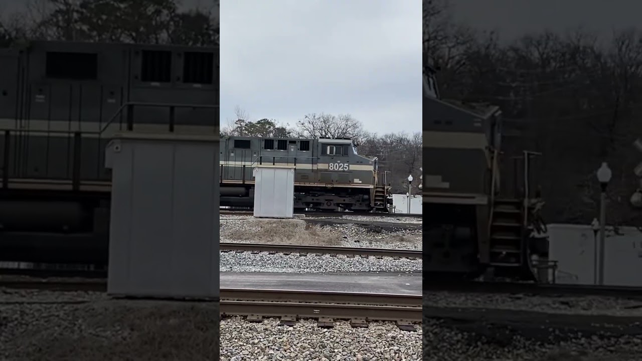 NS 8025 Monongahela heritage unit leads NS 182 02.17.2024 