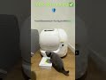 Safety First! 🛡️ Viral PETKIT Self Cleaning Litter Box 🐾