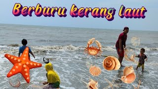 Berburu kerang laut di pinggir pantai #karawang