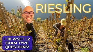 Riesling: Everything You Need to Know for WSET Level 2 in Wines (+10 WSET examtype questions)