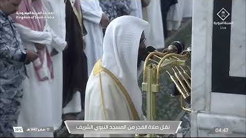 ' سورة القصص ١٤ - ٢٨ ' الشيخ #محمد_برهجي  صلاة الفجر ١٧-٢-١٤٤٧ هـ