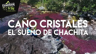EL RÍO MÁS HERMOSO DEL MUNDO, Caño Cristales || CaminanTr3s, El tercero eres tú!!