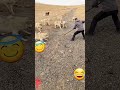 الكلاب تاكل الرجال شاهد كيف طريقة الهروب منهم بسرعه