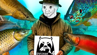 ЛУЧШИЙ СИМУЛЯТОР ПРО РЫБАЛКУ - РУССКАЯ РЫБАЛКА 4??? СТОИТ ИГРАТЬ В 2025?