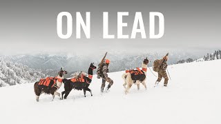 ON LEAD - A Wyoming Rifle Mule Deer Hunt