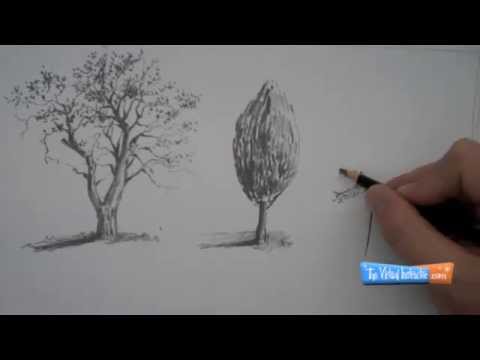 How to Draw Trees - YouTube