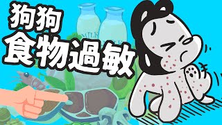 狗與鹿狗狗最常見的10種過敏食物2個好方法教你找出過敏原狗不再皮癢癢