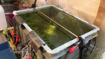 How to remove chrome the easy way