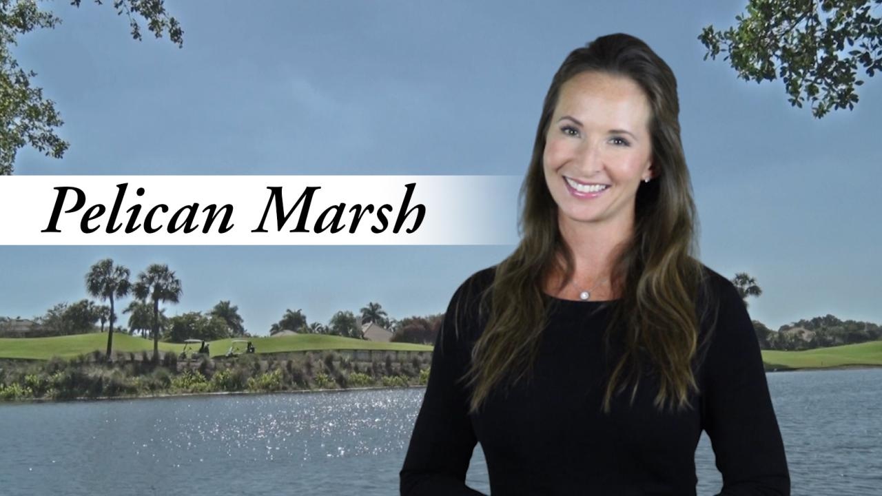 Episode 18 Pelican Marsh YouTube