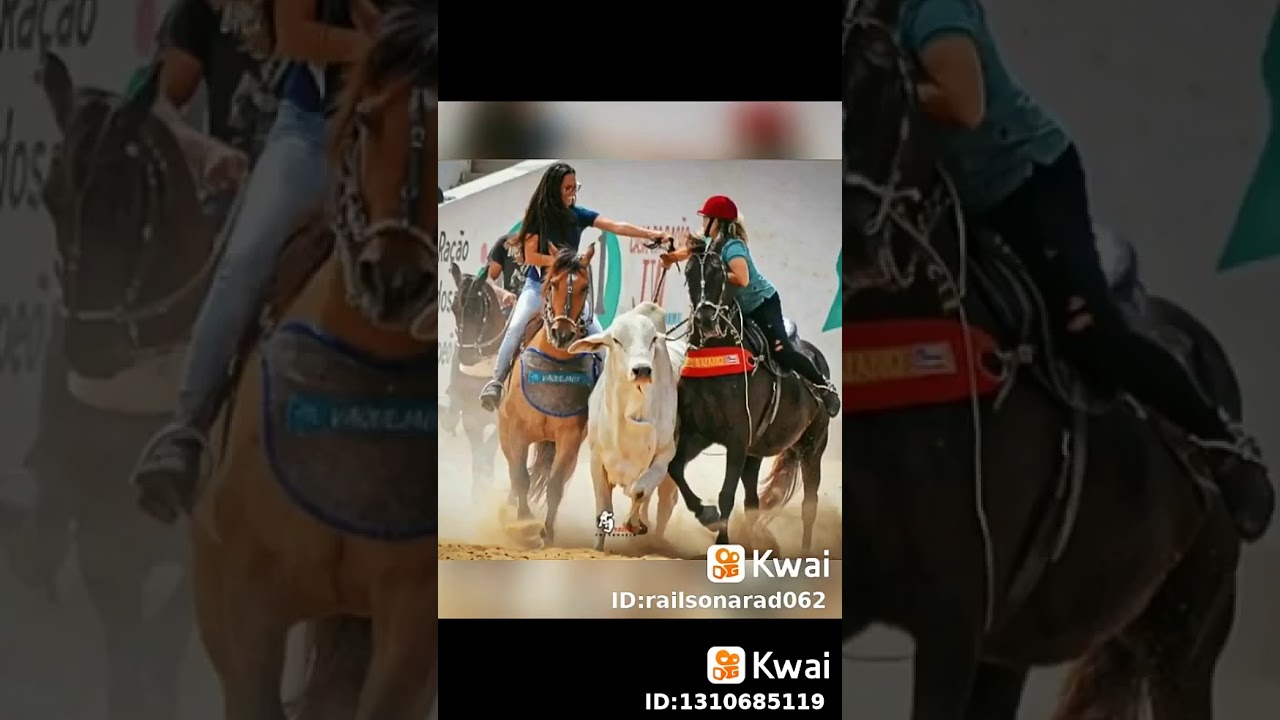 Videos De Vaquejada Com Musicas Saga De Um Vaqueiro