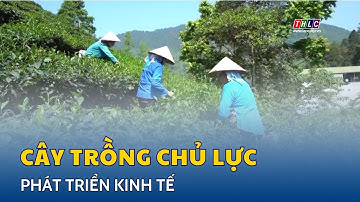 Khai thác hiệu quả tiềm năng, thế mạnh nông nghiệp để phát triển kinh tế | THLC