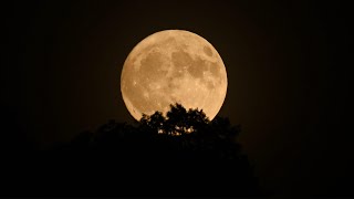 Full 'Strawberry Moon' will be out, but will Maine skies clear in time? Full 'Strawberry Moon' will be out, but will Maine skies clear in time?
