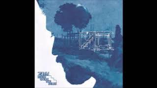 ZAYN - Something In The Water