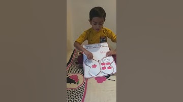 singular and plural words grammar( English project)