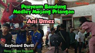 Peuyeum Bandung Medley Mojang Priangan-Ani Umez