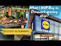 Where will I buy Grocery in Denmark shop? Lidl Supermarket | Fishing kit, veggies, rice, grains