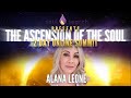 A Path to Illuminate Your Soul with Alana Leone