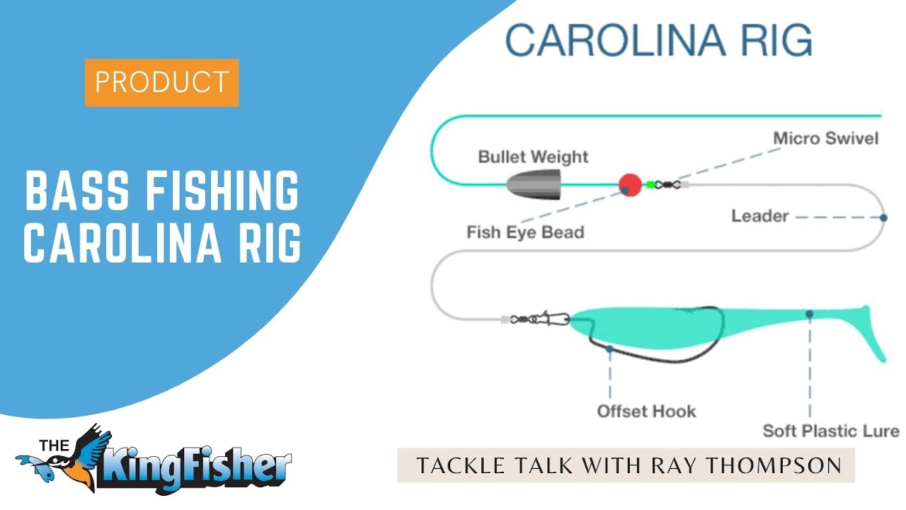 Carolina Rig Fishing for Bass