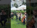 Game of Thrones (Series Theme) - Enchanted Strings - String Quartet #gameofthrones #quartet