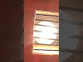 सबसे सस्ता Room Heater बनाएं || science project #viral #youtubeshorts #subscribe #shorts