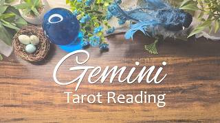 GEMINI - You will know exactly where you stand with this person! No confusion!🌞✨⚖️