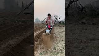 #New600HPMiniTiller #OneMachineDoesItAll Tilling, Weeding, Trenching, Leveling #mini #tiller #shorts