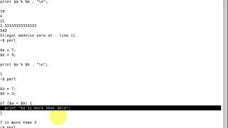 Introduction to Perl: Conditionals and Arithmetic
