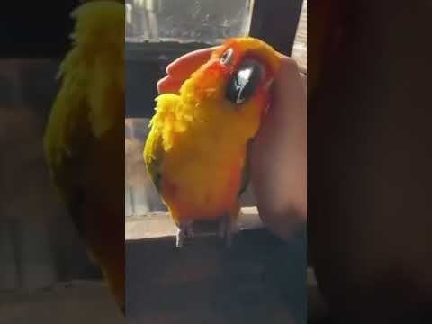 الا بذكر الله تطمئن القلوب