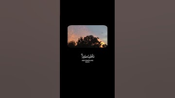 سورة الأنعام : الآية 91