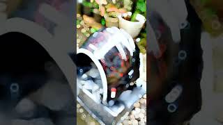 Download Lagu CARBON FORGET HELM  #carbonforged #carbonkevlar #carbonhelm #fypシ #shorts #like #fyp #085212217211wa MP3