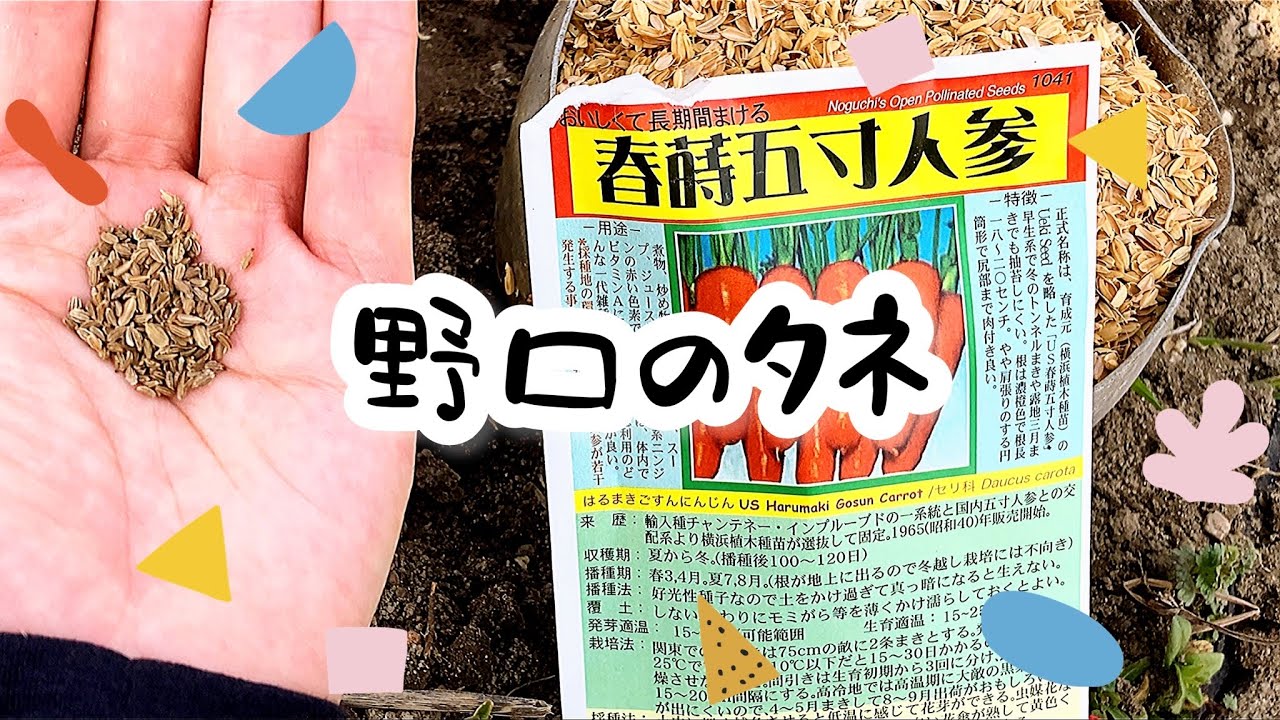 野口のタネ初購入 固定種 自然栽培 Youtube