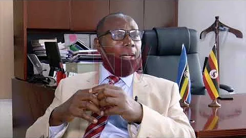 Fish maw export could become major earner