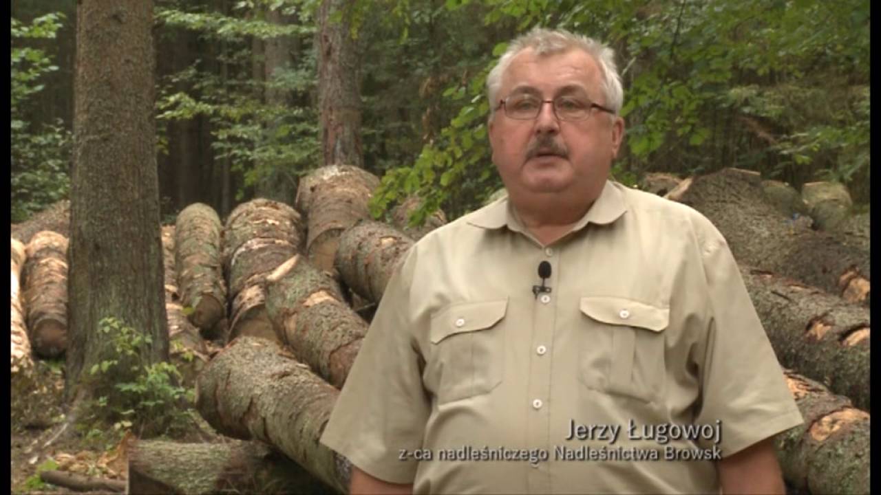 Puszcza Białowieska Niemy Krzyk