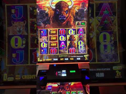 C贸mo ganar en una slot online 馃挵 #slots #casinoonline #tragamonedas