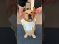 This is a super comfortable cool coat that is breathable and not stuffy. It can also preve