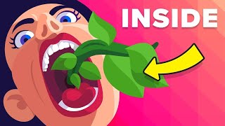 Crazy Unexpected Things That Were Found Inside People